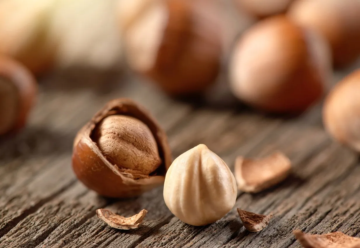 Noccioleto di Abakainon