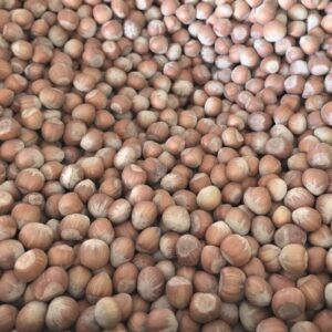 Nocciole dei Monti Nebrodi in guscio - Le Nocciole di Abakainon